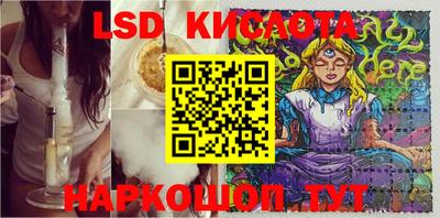 СК Будённовск